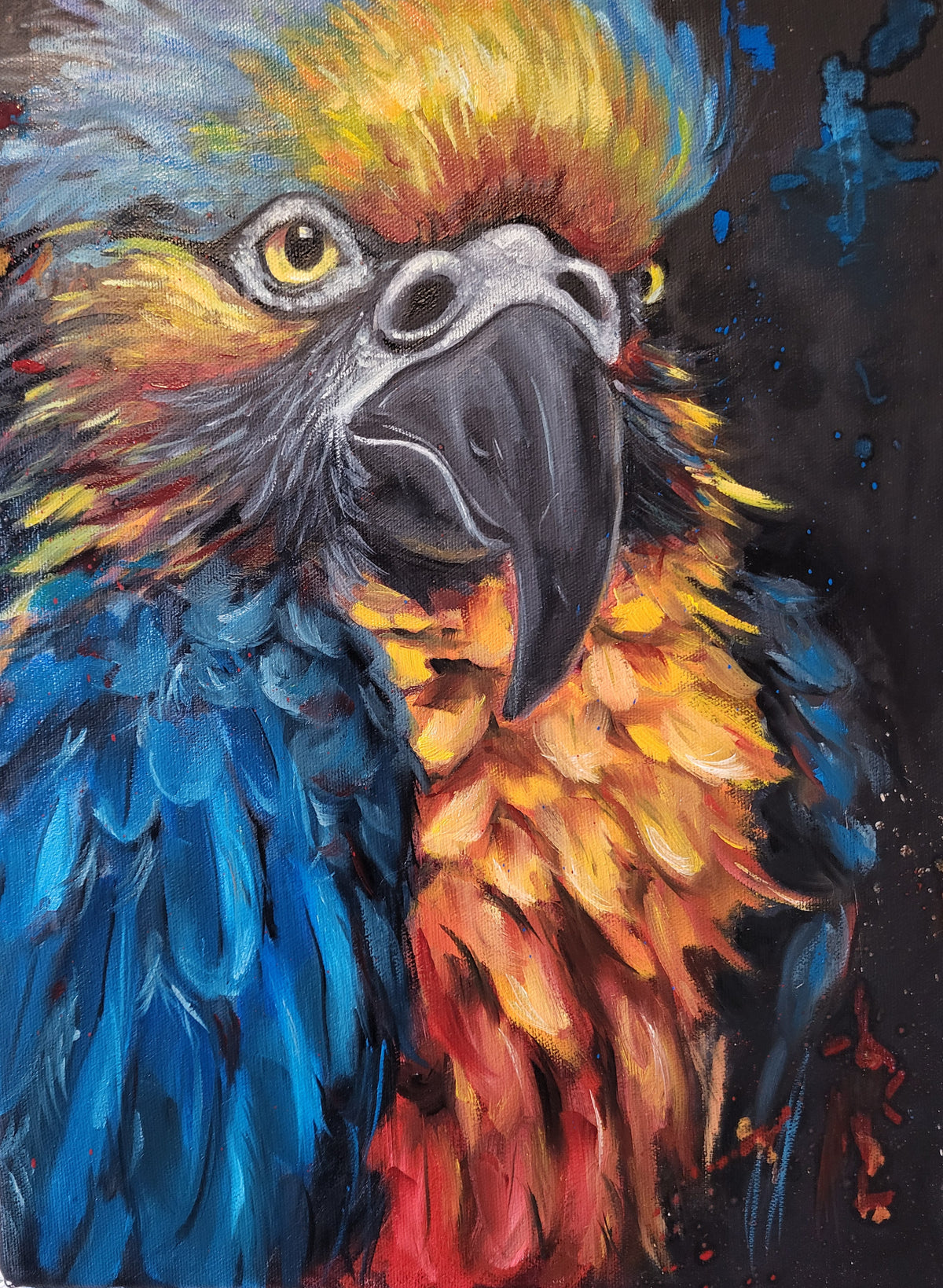 Peperroquet - 12 x 16 po - Toile galerie - Huile