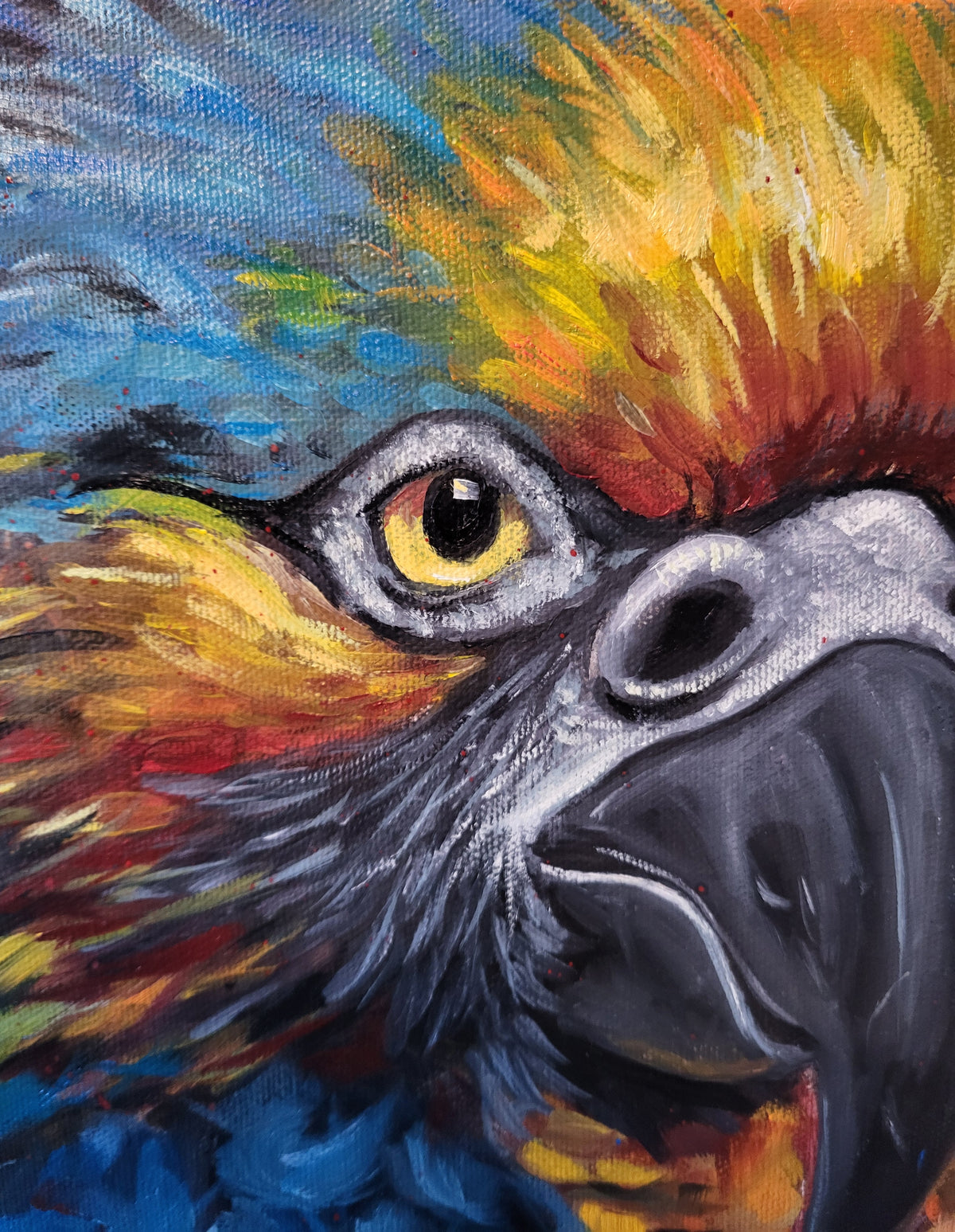Peperroquet - 12 x 16 po - Toile galerie - Huile