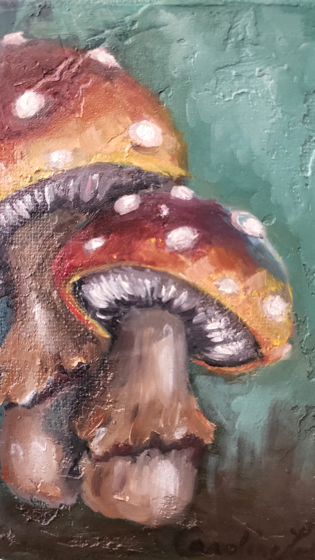 Champignons - 6 x 6 po - Toile galerie - Huile