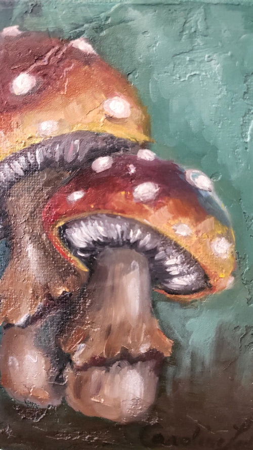 Champignons - 6 x 6 po - Toile galerie - Huile